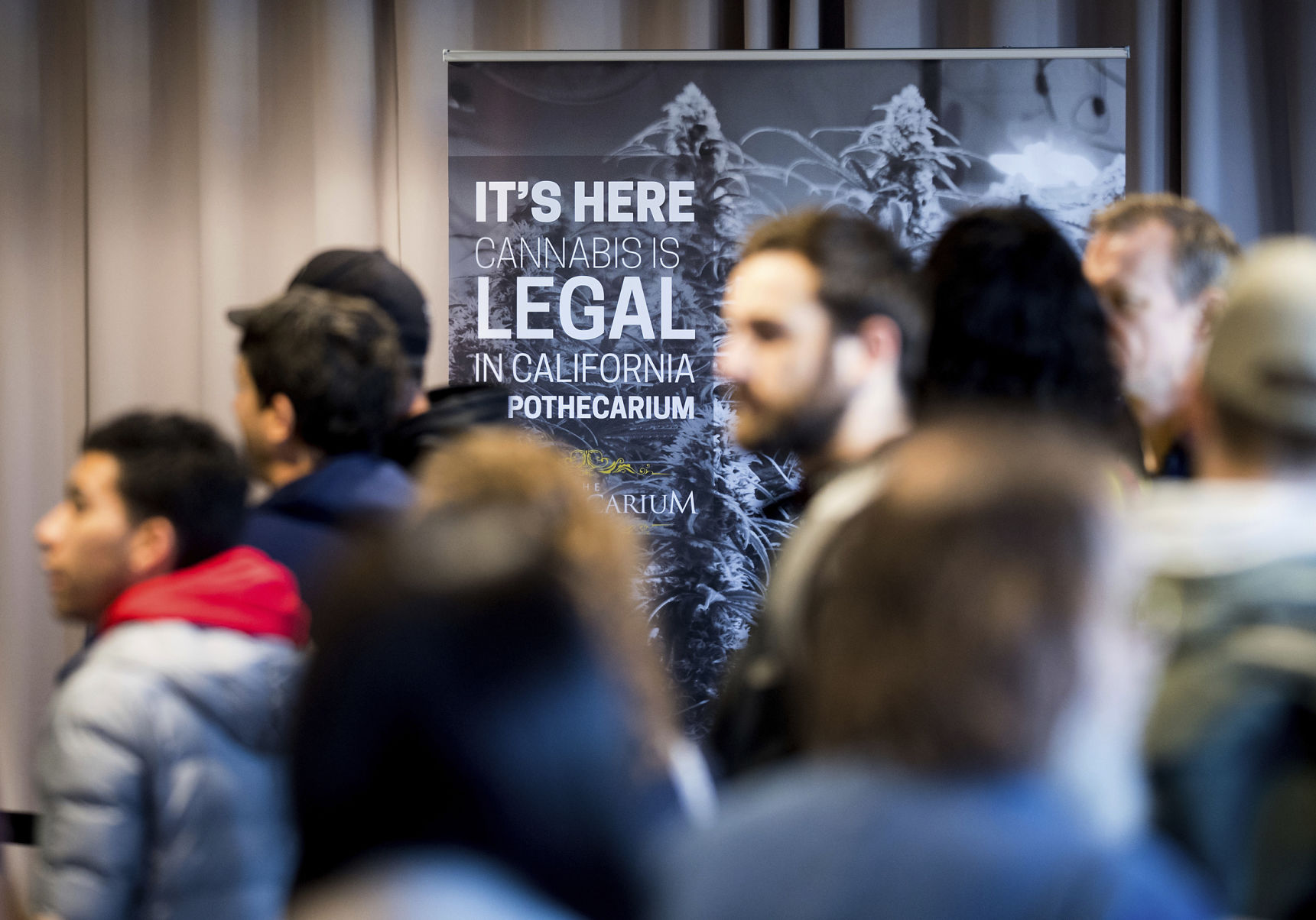 Legal Marijuana Banner Year